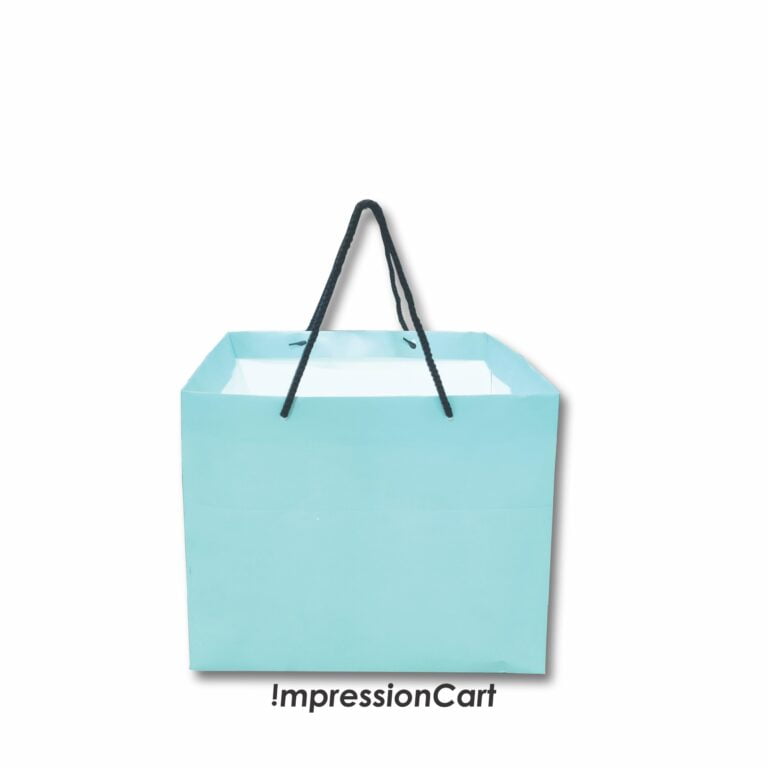 9x9x9 inch Paper Bag ( Pastel Green )